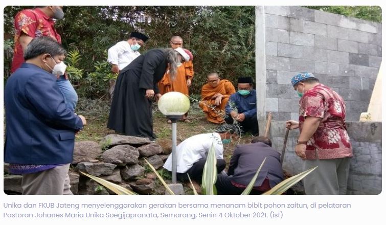 Peringati Dies Natalis ke-39 Unika Soegijapranata Gandeng FKUB Jateng Tanam Bibit Pohon Zaitun, Ini Maknanya
