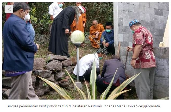 Tanam Pohon Zaitun, FKUB Jateng: Teguhkan Cinta Bumi Pertiwi Tanam Pohon Zaitun, FKUB Jateng: Teguhkan Cinta Bumi Pertiwi