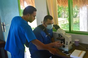 Kunjungan ke Klinik Sumba Foundation