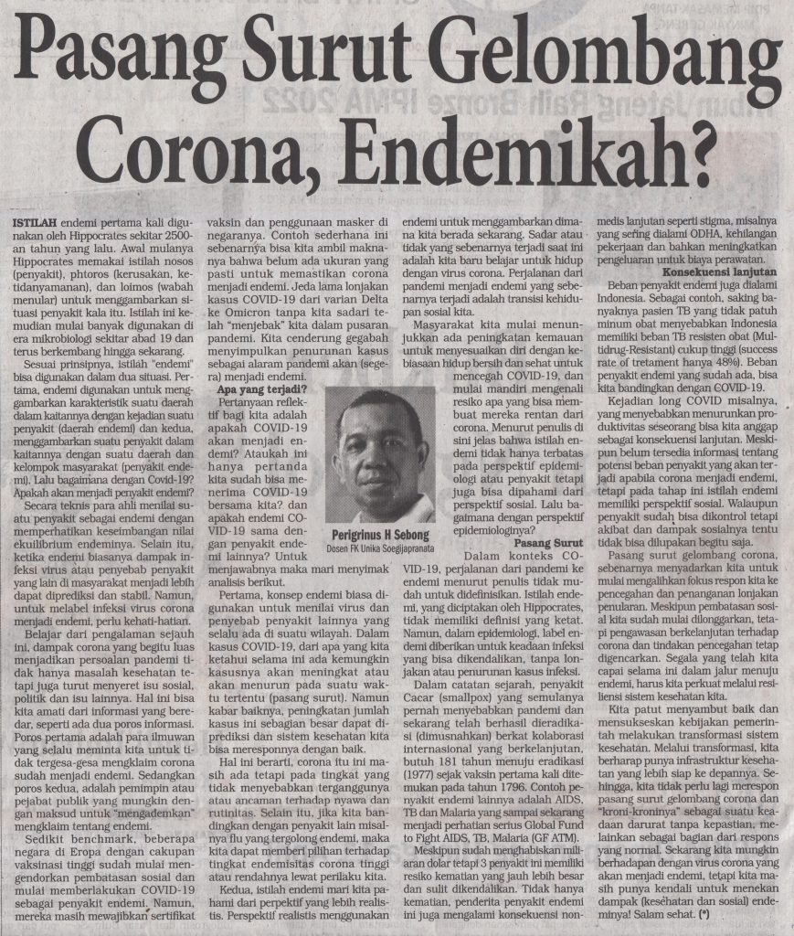 Pasang Surut Gelombang Corona, Endemikah?