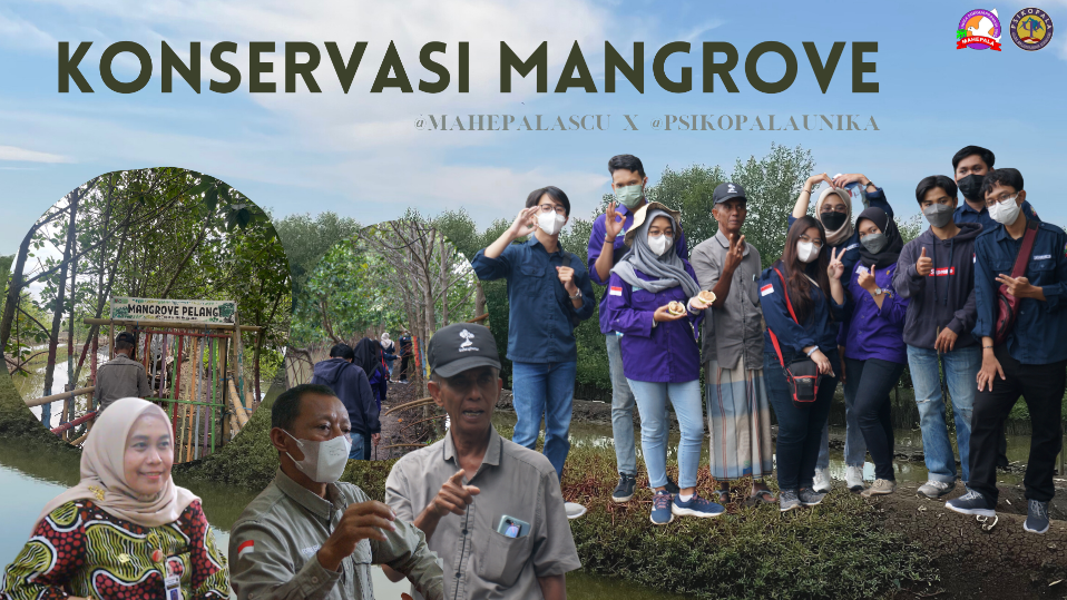 Berbicara Konservasi Mangrove Bersama Pak Sururi & DLHK Jateng Berbicara Konservasi Mangrove Bersama Pak Sururi & DLHK Jateng