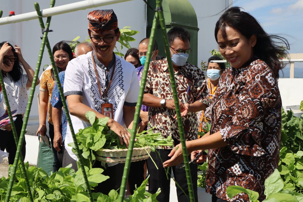 Panen Perdana di Rooftop Kampus BSB Unika Soegijapranata Panen Perdana di Rooftop Kampus BSB Unika Soegijapranata