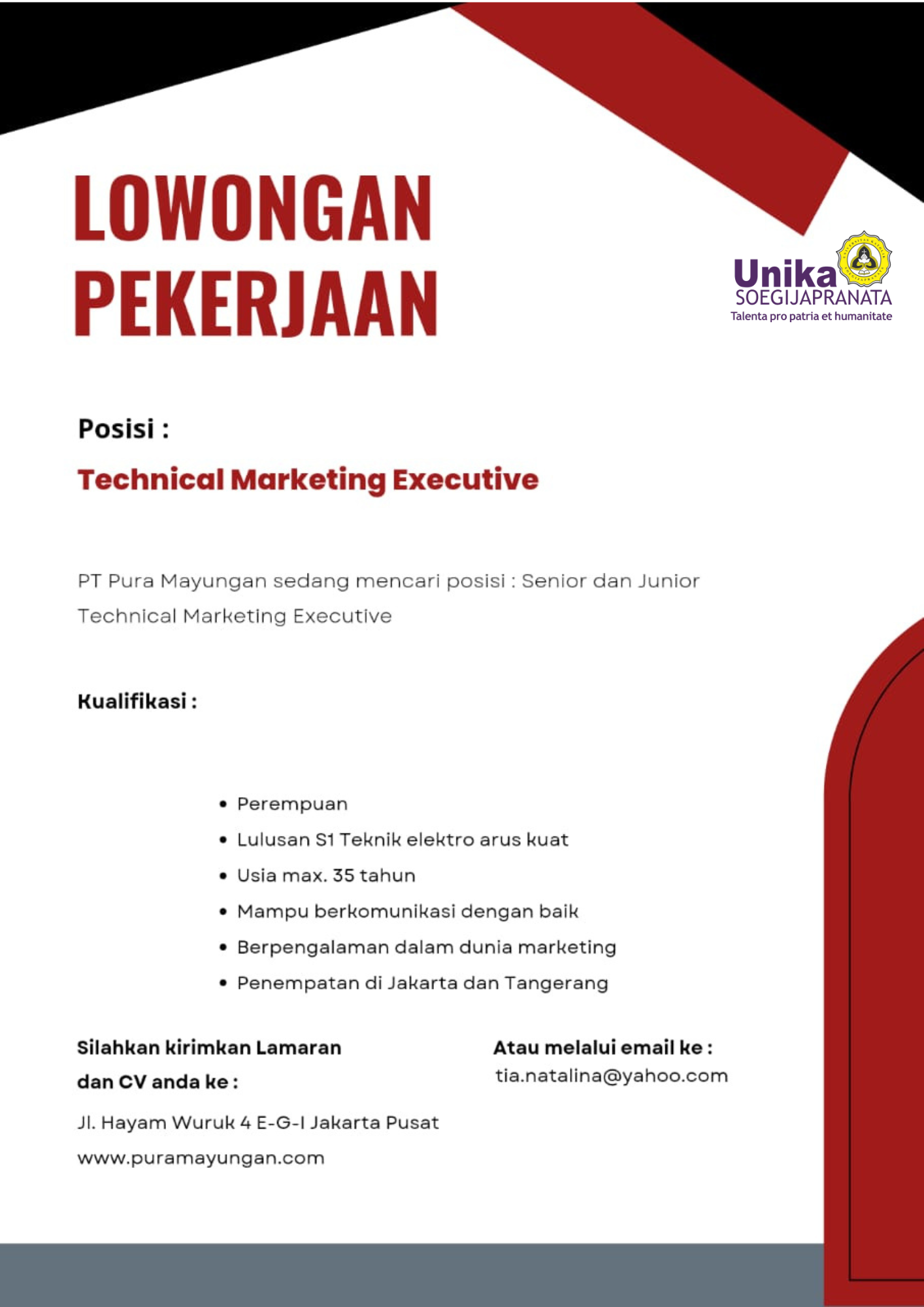 Technical Marketing Executive @PT. Pura Mayungan