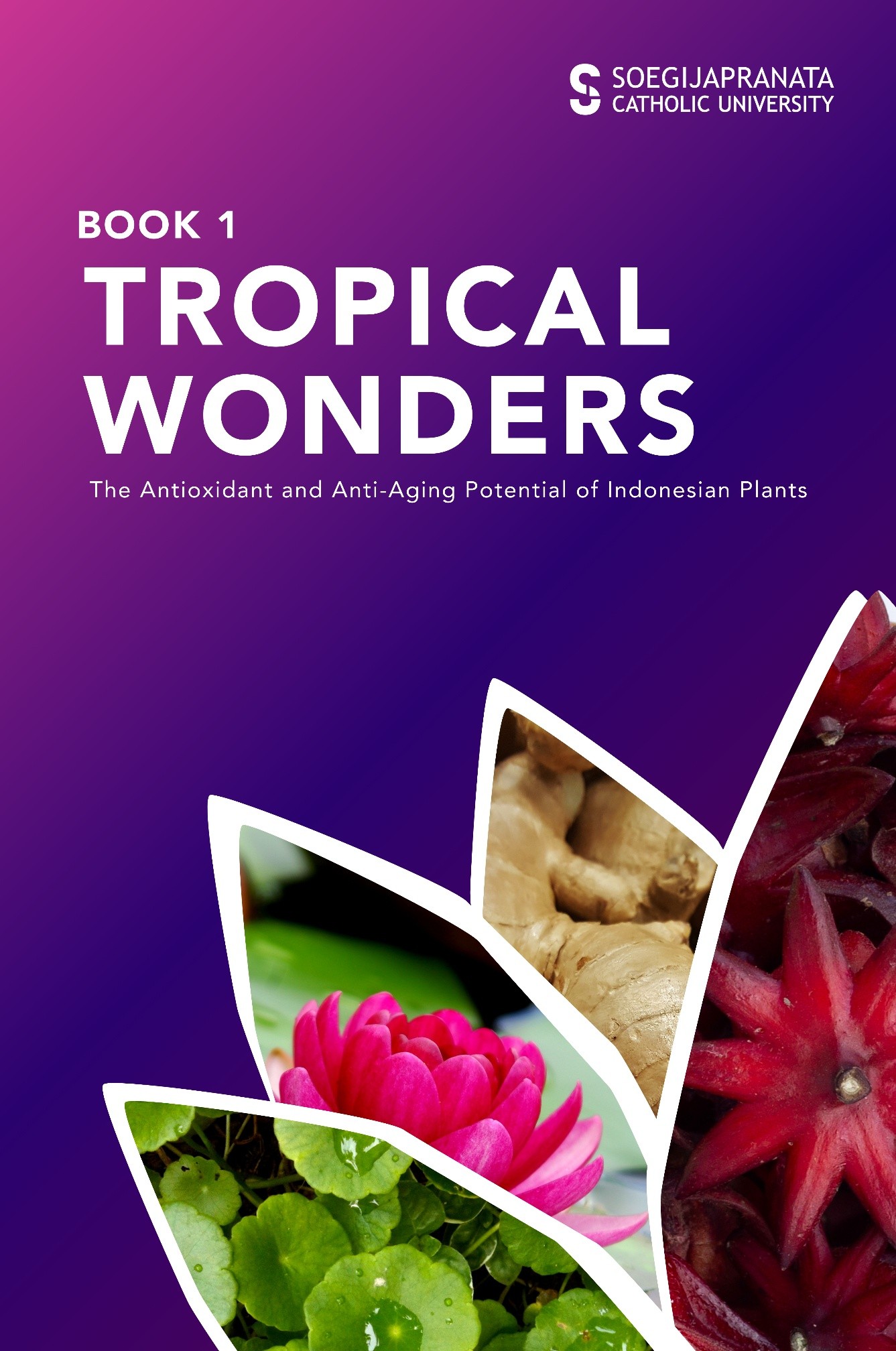 Book 1 Tropical Wonders: The Antioxidant and Anti-Aging Potential of Indonesian Plants