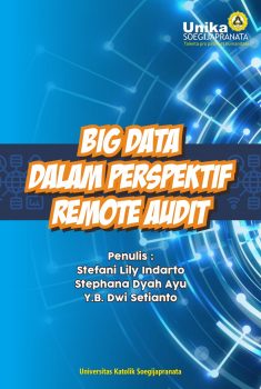 Cover Big Data Dalam Perspektif Remote Audit